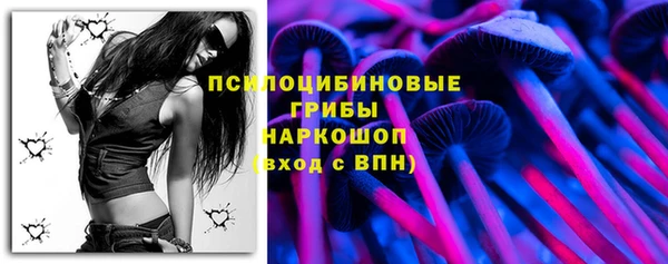 шишки Козельск