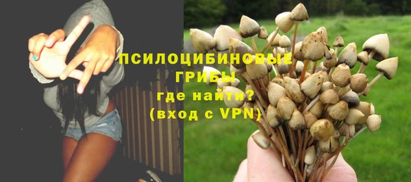 эйфоретик Козловка