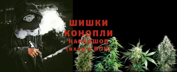 эйфоретик Козловка