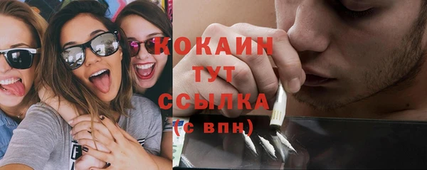 шишки Козельск
