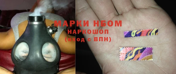 шишки Козельск