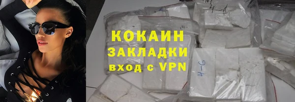 шишки Козельск