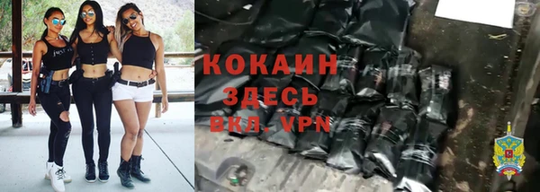 шишки Козельск