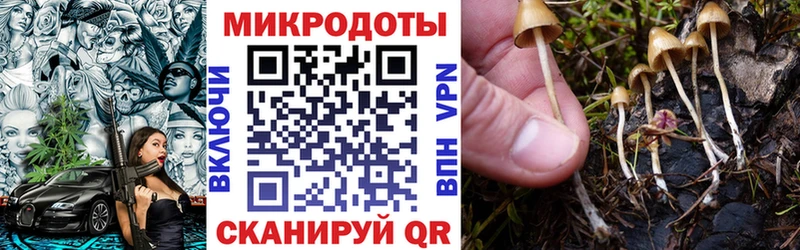 Купить  Балтийск  Псилоцибиновые грибы ЛСД 